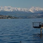 Zürichsee