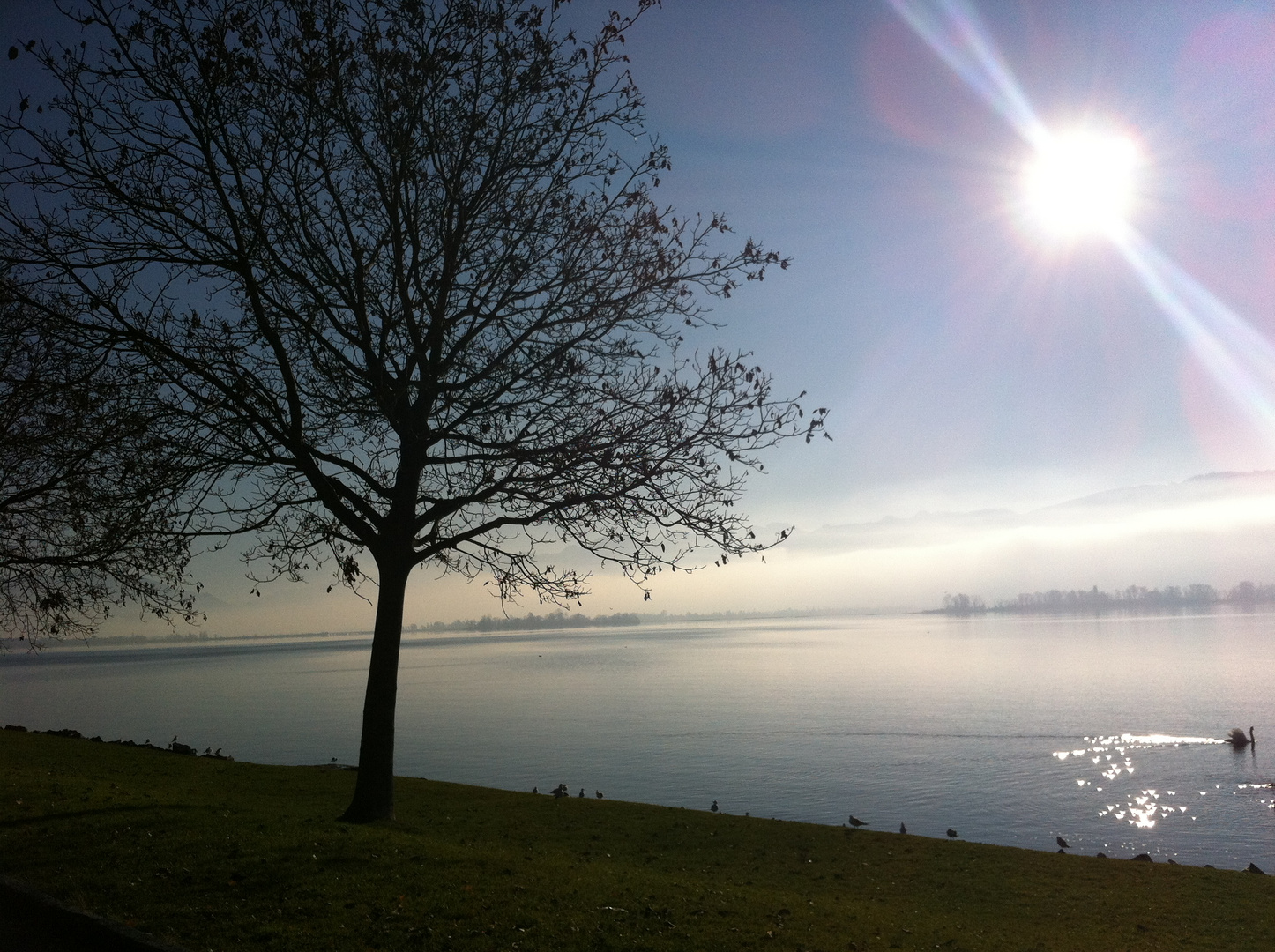 Zürichsee