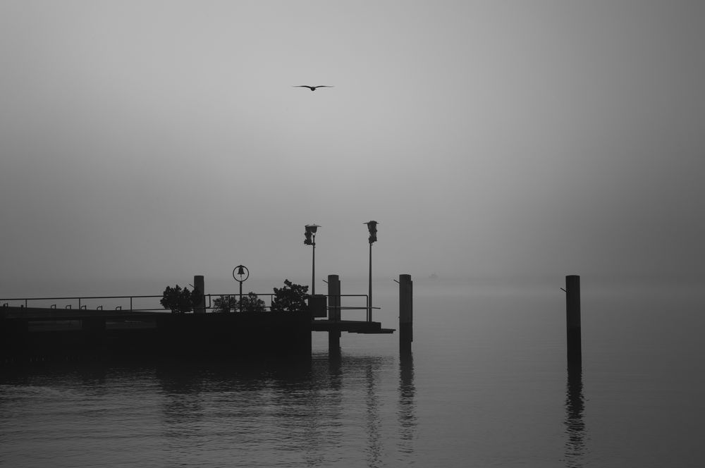 Zürichsee