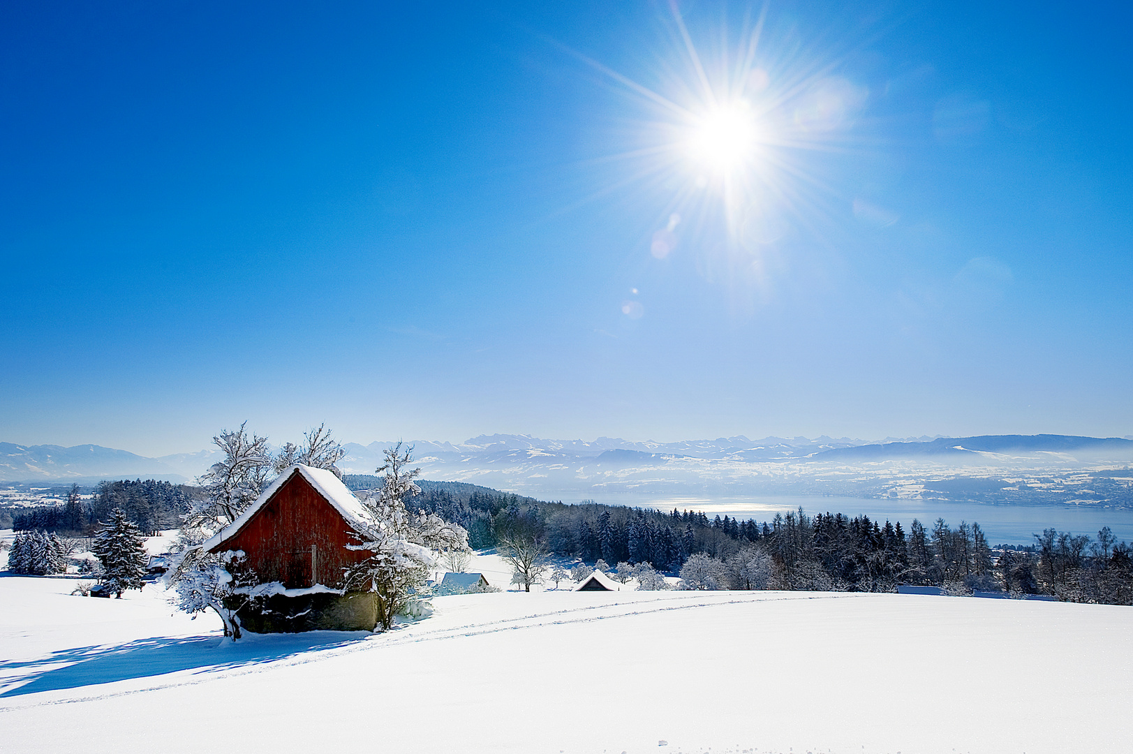 Zürichsee