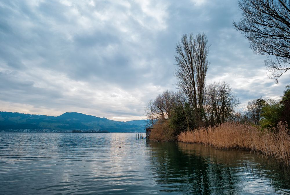 Zürichsee