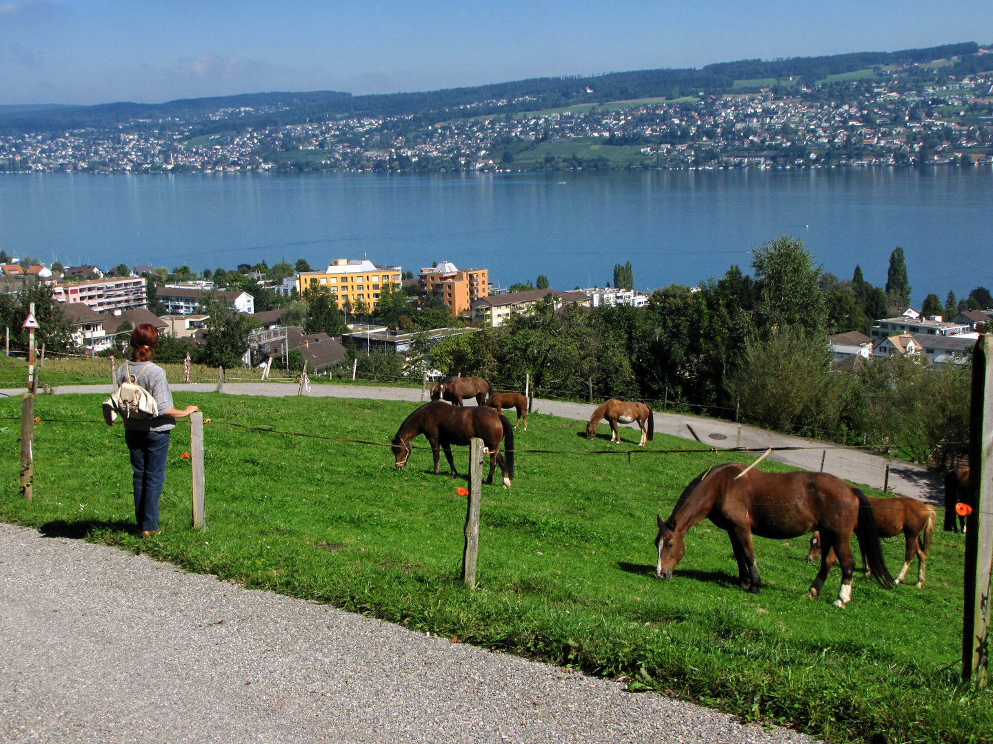 Zürichsee