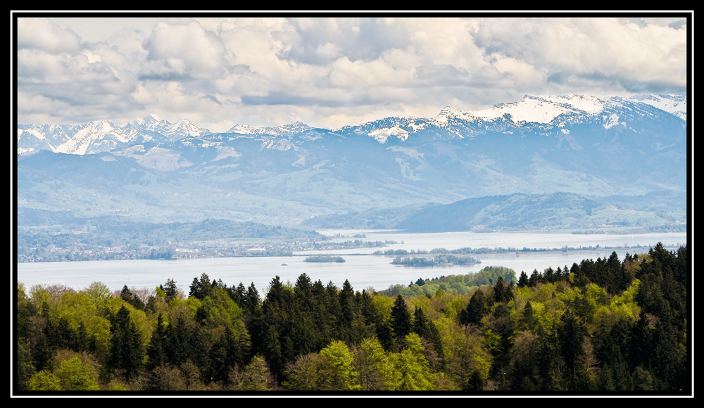 Zürichsee