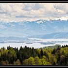 Zürichsee