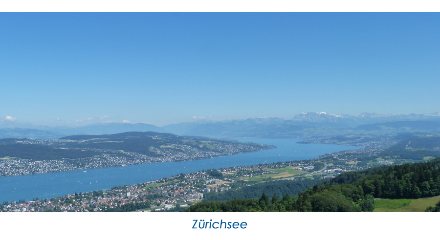 Zürichsee