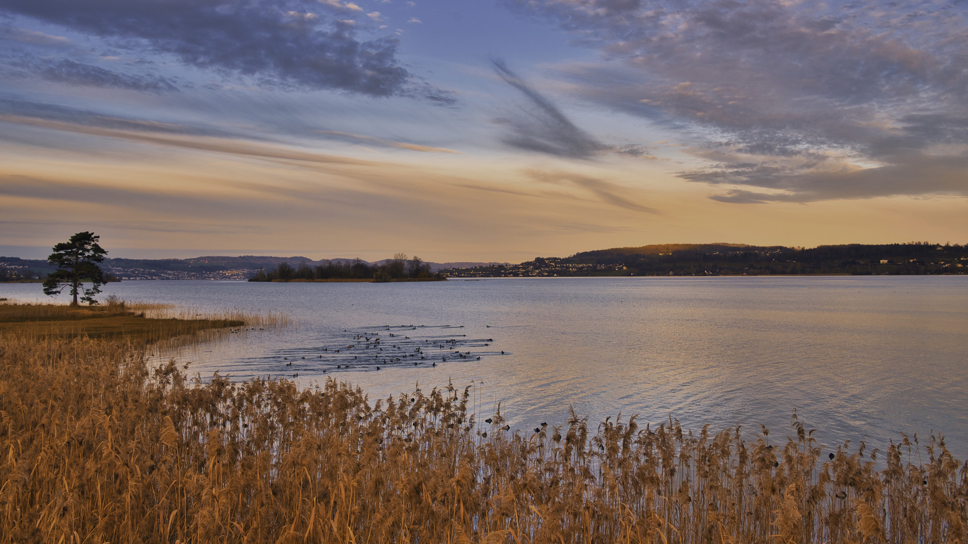 Zürichsee