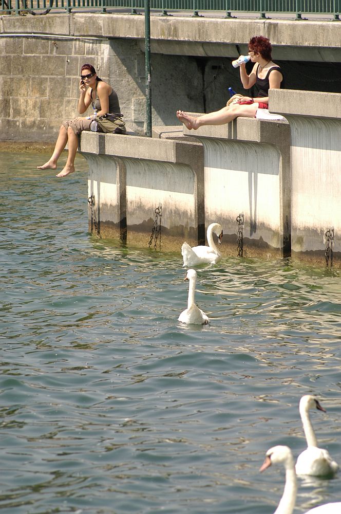 Zürichsee