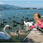 Zürichsee bei Rapperswil