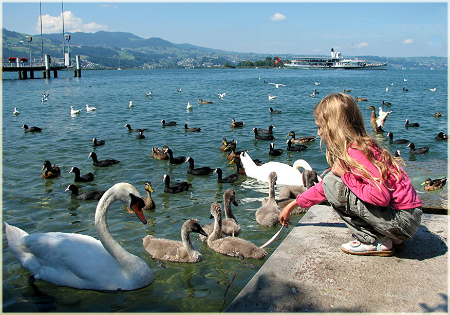 Zürichsee bei Rapperswil