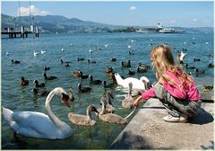 Zürichsee bei Rapperswil