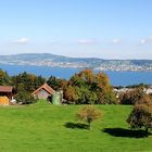 Zürichsee-Blick