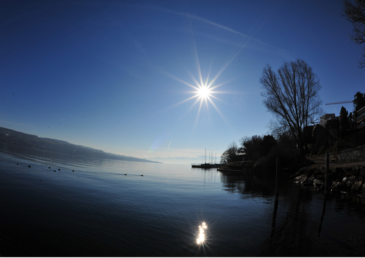 Zürichsee