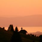 Zürichsee, Goldküste