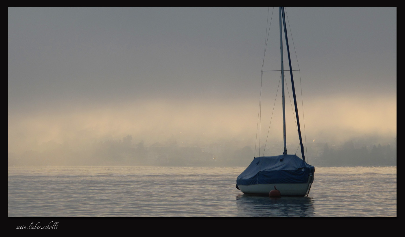 Zürichsee im Nebel