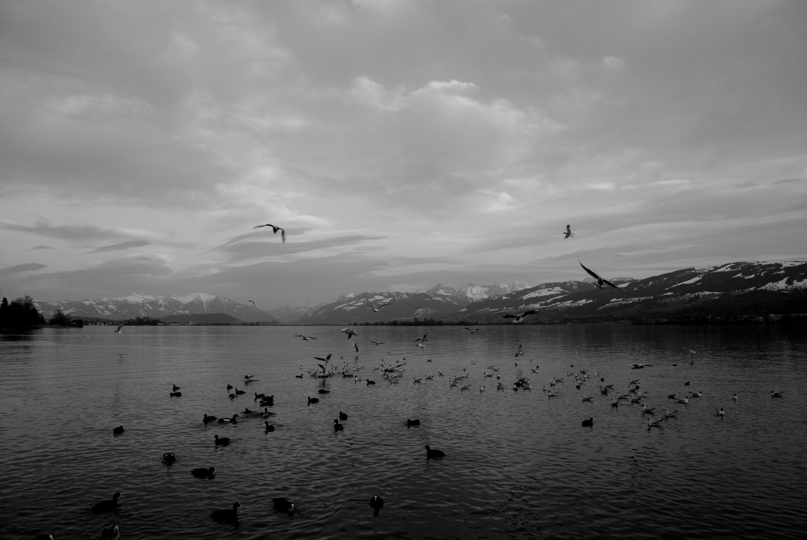 Zürichsee im Winter