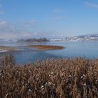 Zürichsee im Winter