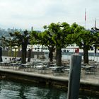 Zürichsee Impressionen 3