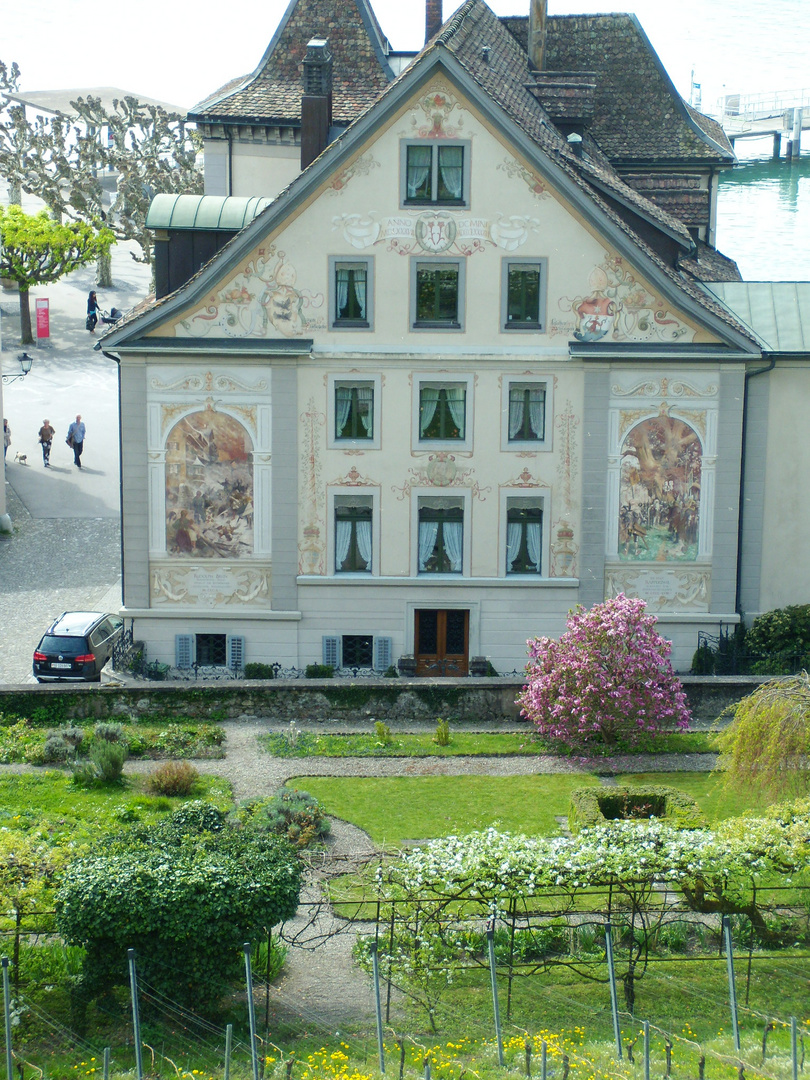 Zürichsee Impressionen 4