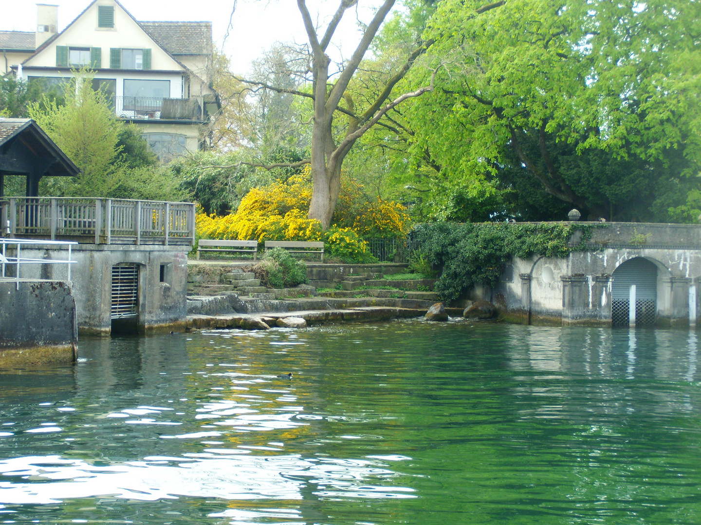 Zürichsee Impressionen