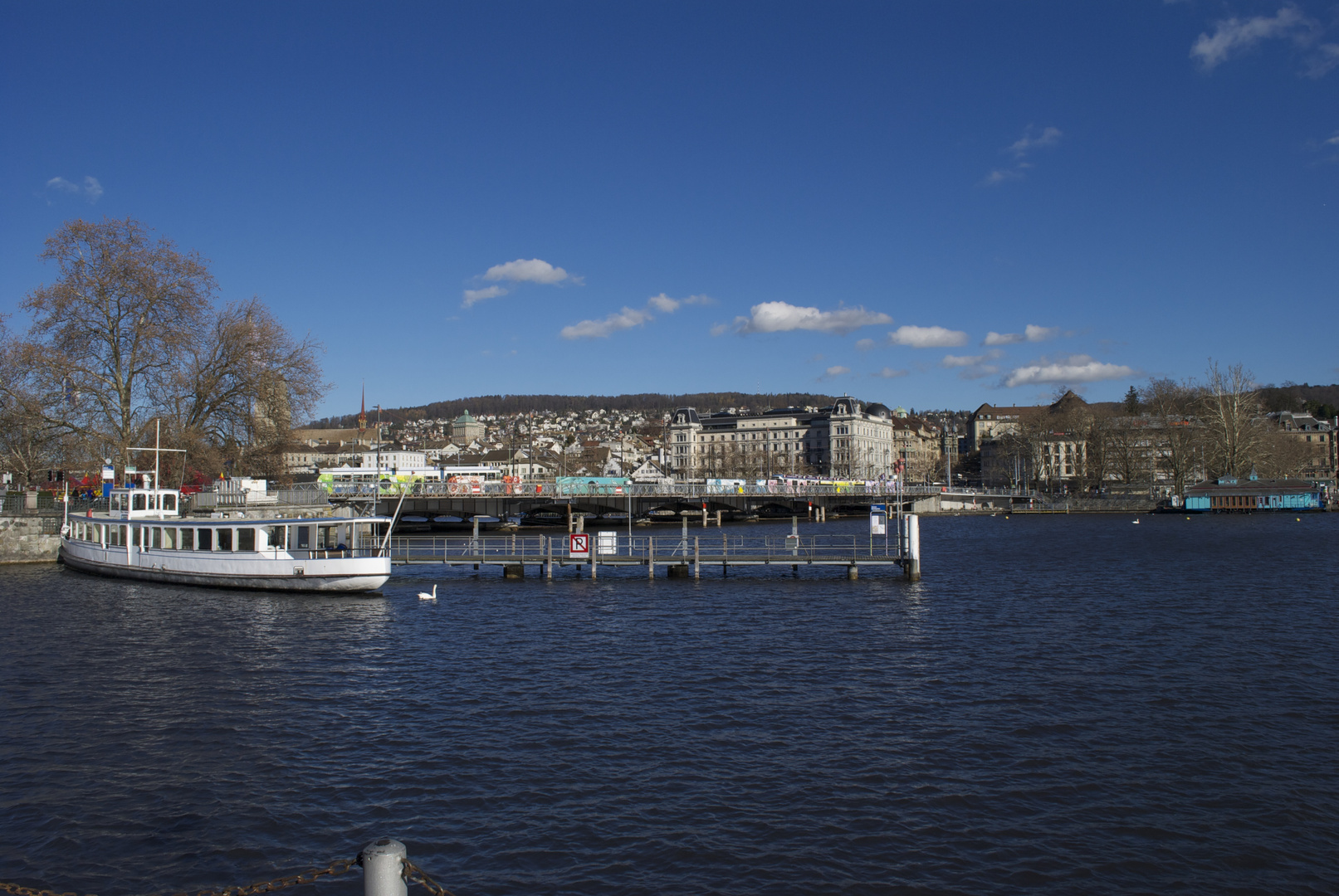 Zürichsee mit Aussicht