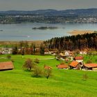 Zürichsee mit den Inseln Ufnau und Lützelau