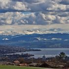 Zürichsee mit Schneebergen (Test GPS und KARTE)