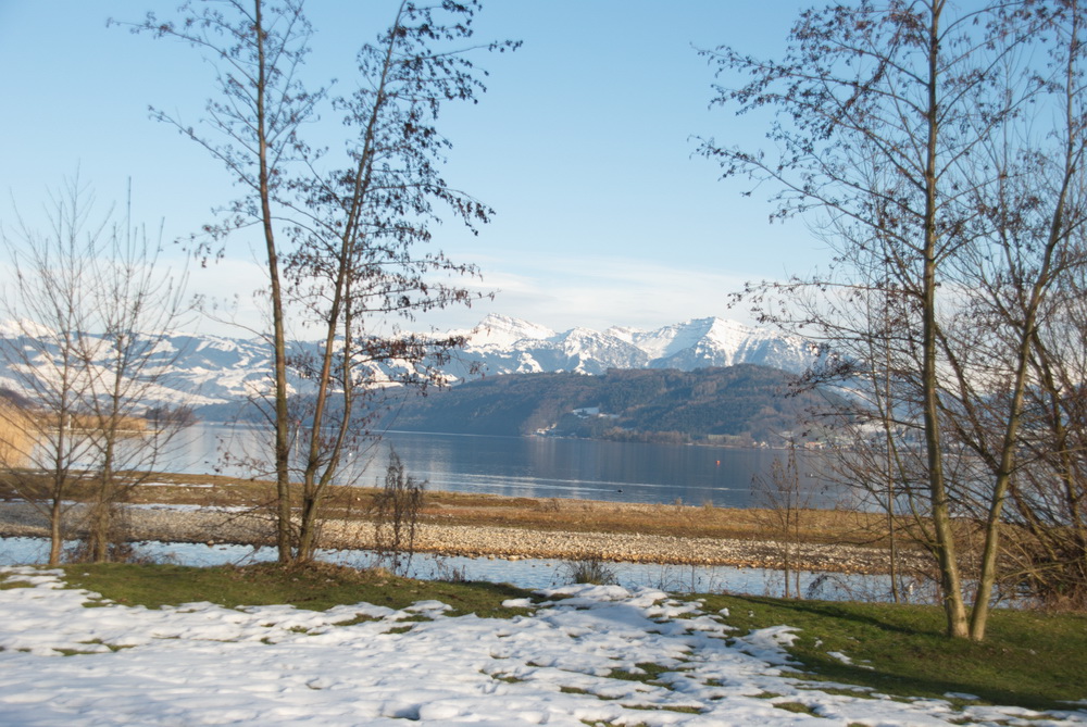 Zürichsee Rapperwil