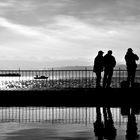 Zürichsee und ein Hauch von Mittelmeer