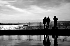 Zürichsee und ein Hauch von Mittelmeer