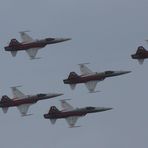 zürifäscht 2010: Patrouille Suisse (1)