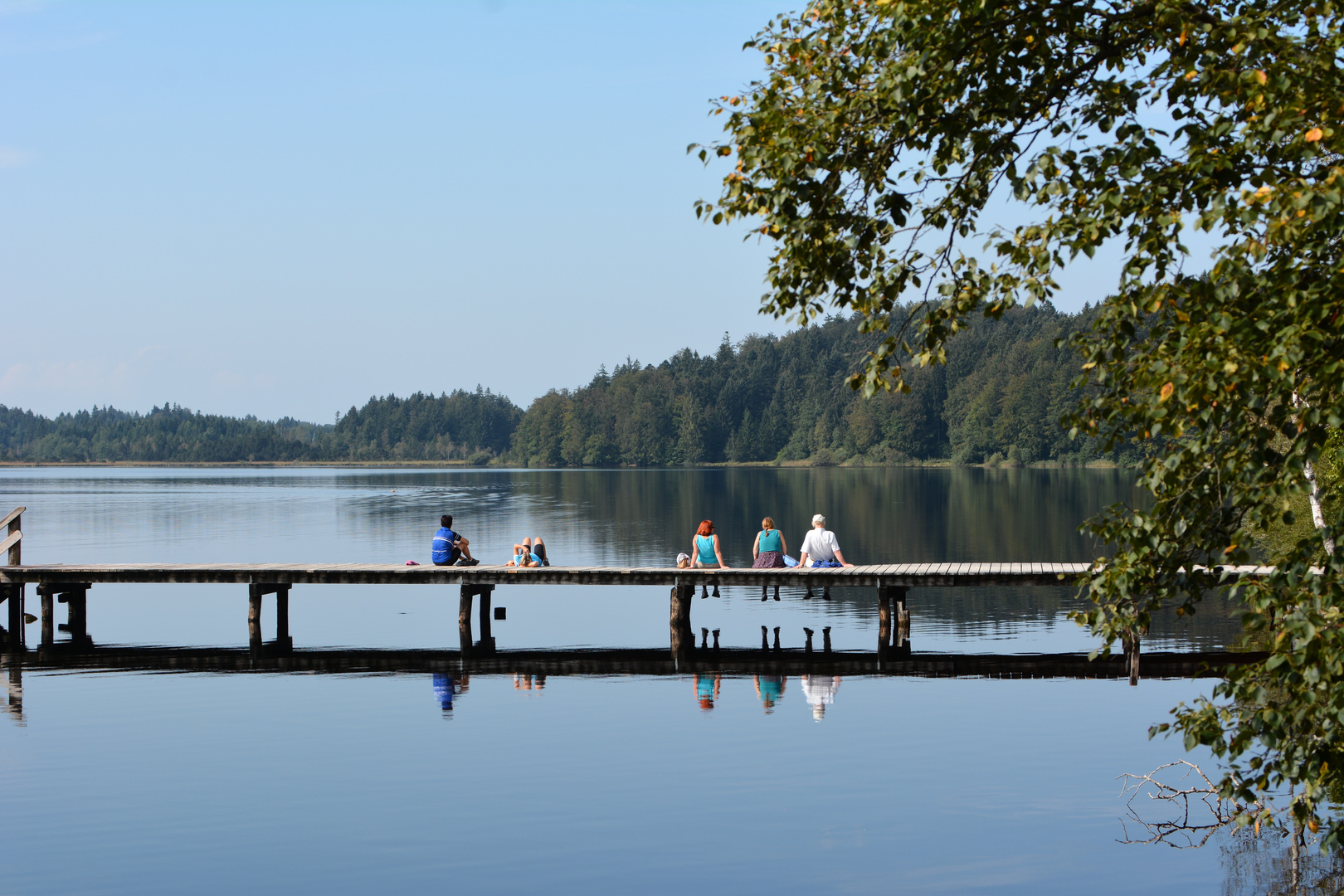 zuerst den rücken wärmen, dann schwimmen...