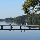 zuerst den rücken wärmen, dann schwimmen...