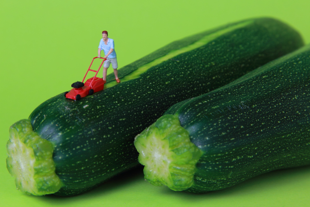 Zuerst die Zucchini schälen ...