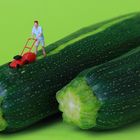 Zuerst die Zucchini schälen ...