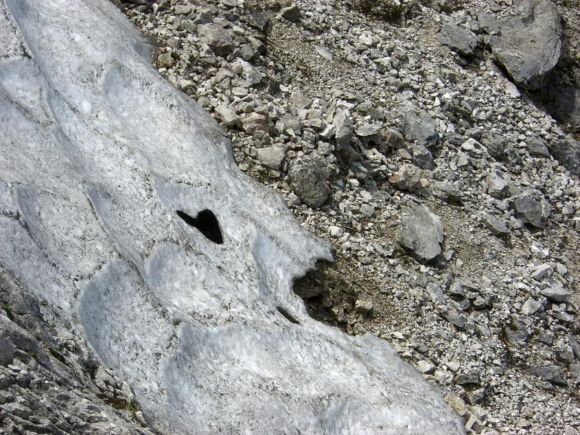 zufällig im Schnee entdeckt