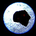 Zufällige Aufnahme eines Meteoriten über dem Südpazifik am 1. 4. 2020