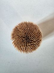 Zufällige Begegnung mit einem Igel (ohne Streichelimpuls)