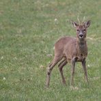 Zufall und Glück