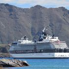 Zufallsbegegnung auf den Lofoten in Svolvaer