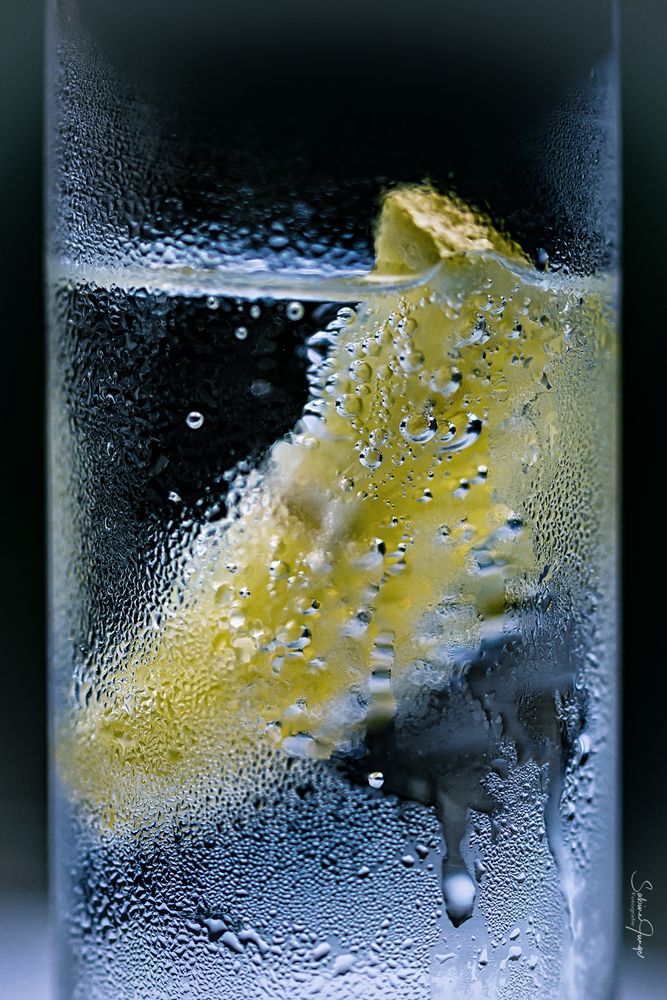 Zufallsbekanntschaft Foto & Bild nikon, spezial, wasser Bilder auf