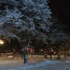 Zufallsmuster beim nächtlichen Streifzug...