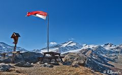 Zufallspitze -Blick von der Marteller Hütte / 2.610 m