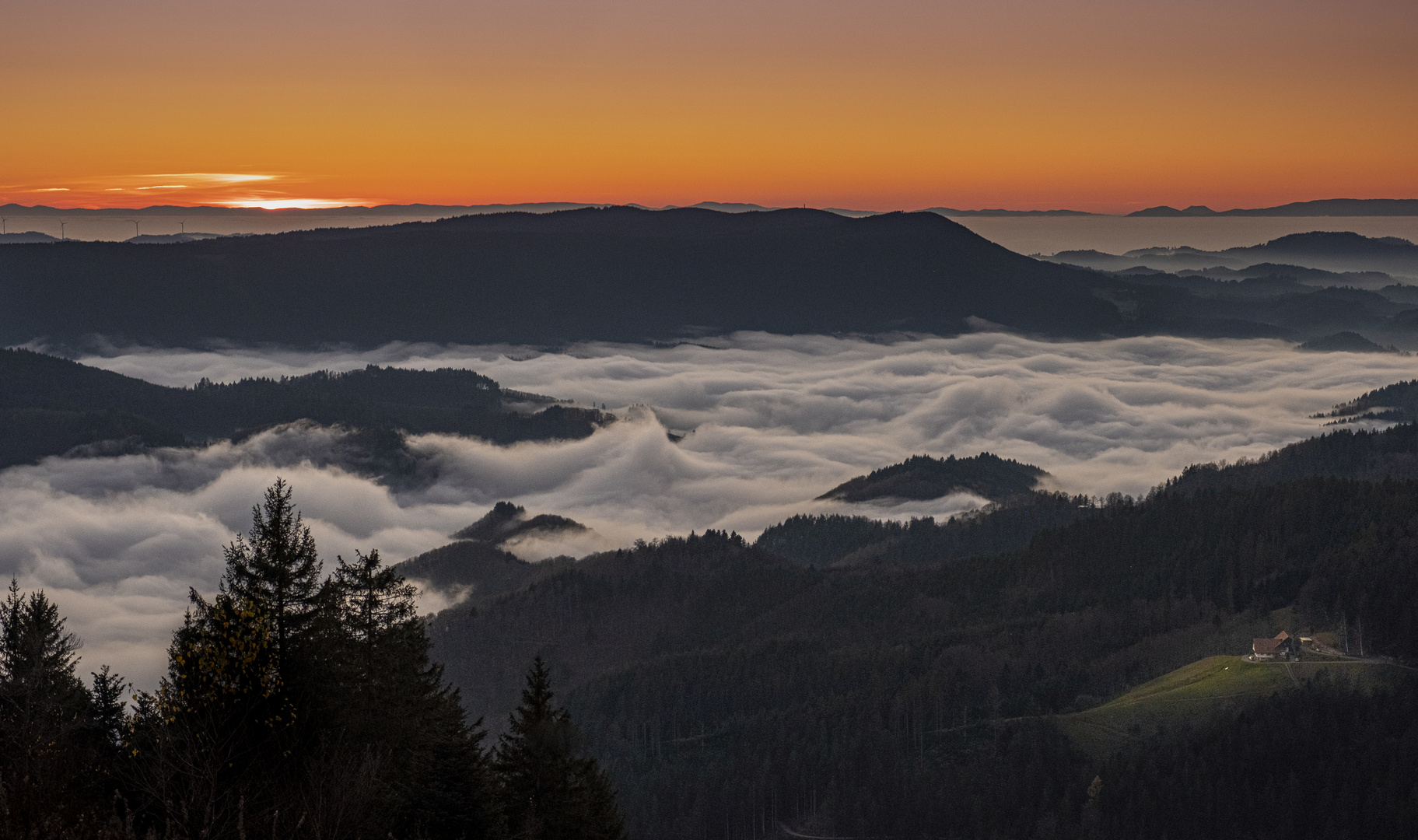 Zuflucht Wolkenmeer Schwarzwald