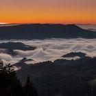 Zuflucht Wolkenmeer Schwarzwald