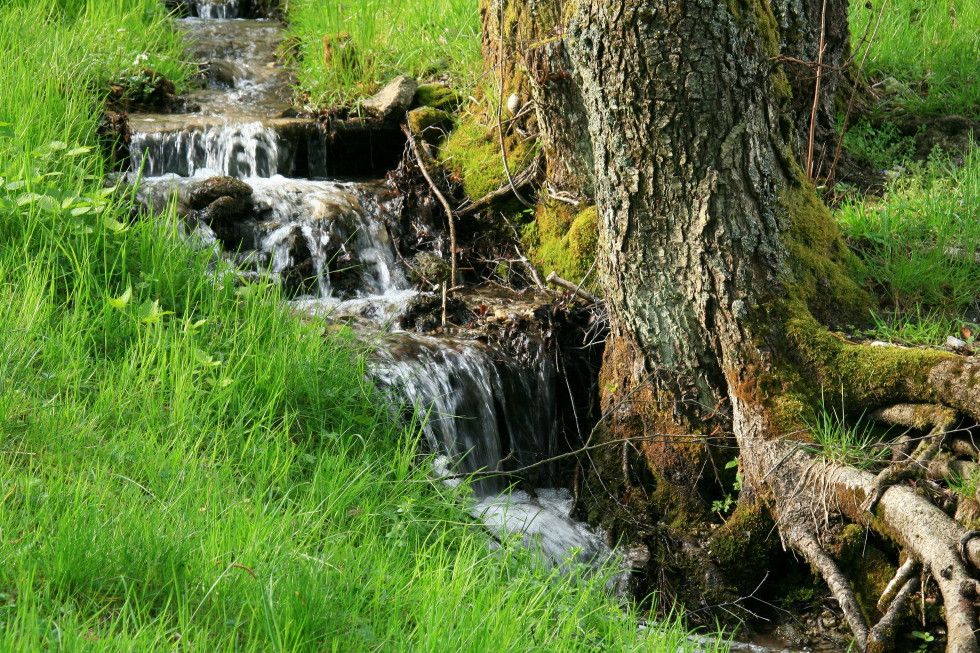 Zufluß am Thumsee