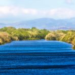 Zufluss im Albufera Naturpark auf Mallorca