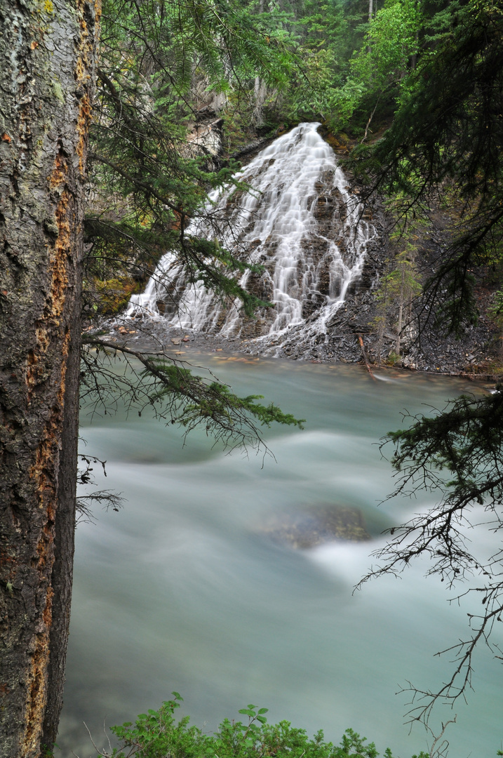 Zufluss im Johnston Canyon (Banff)