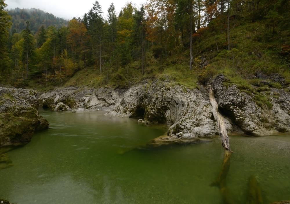 Zufluss Sylvensteinsee