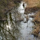 Zufluss Walkweiher Dinkelsbühl im Sonnenlicht