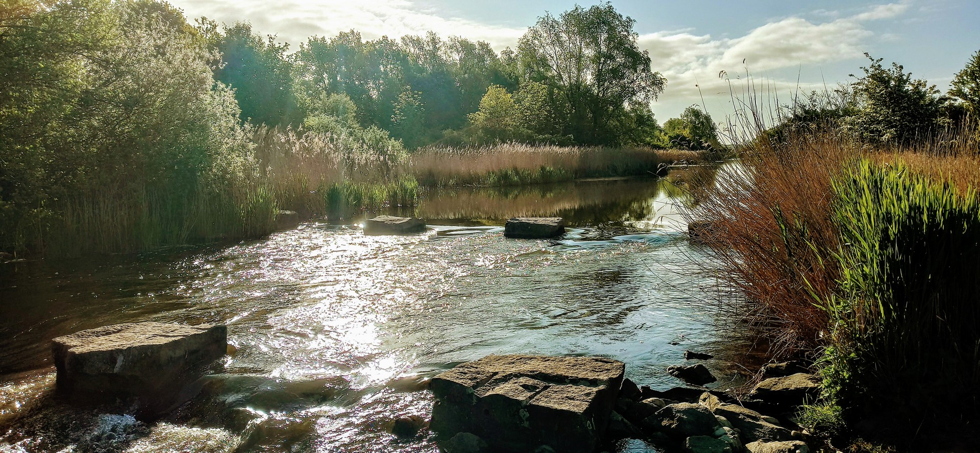 Zufluss Werdersee